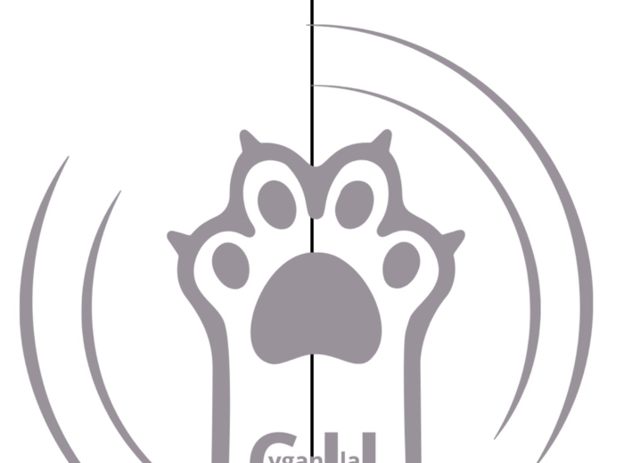 Karty Pracy z odpowiedziami do lektury „Asiunia” Joanny Papuzińskiej