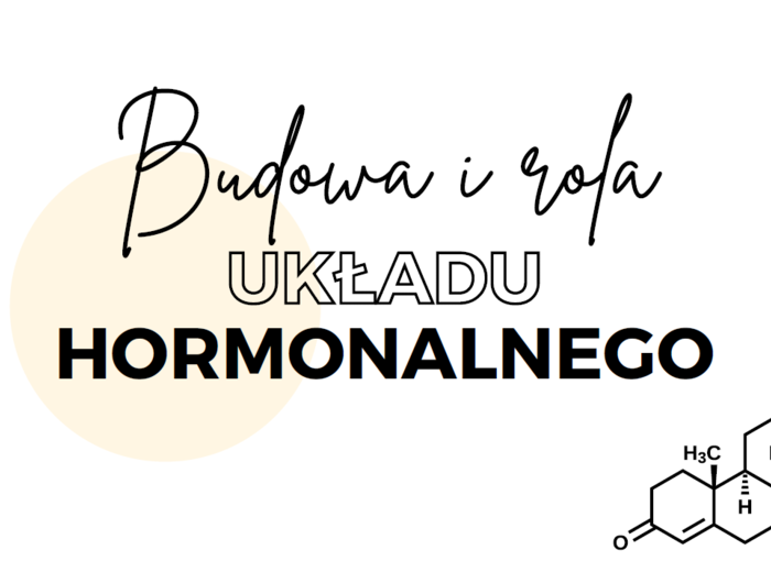 Układ hormonalny 3 KLASA ROZSZERZENIE BIOLOGIA