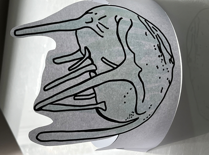 Opaski - Warzywa- „Na straganie” - 15 warzyw