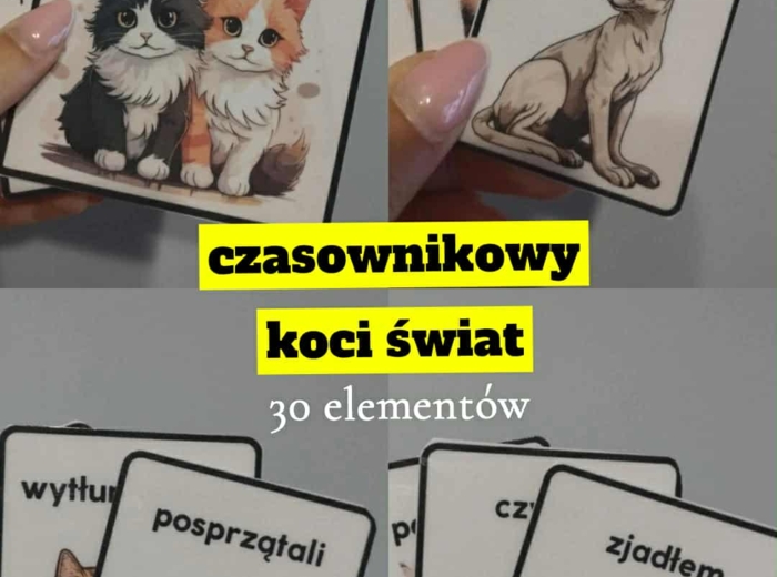 "Czasownikowy koci świat" - czasowniki dokonane i niedokonane