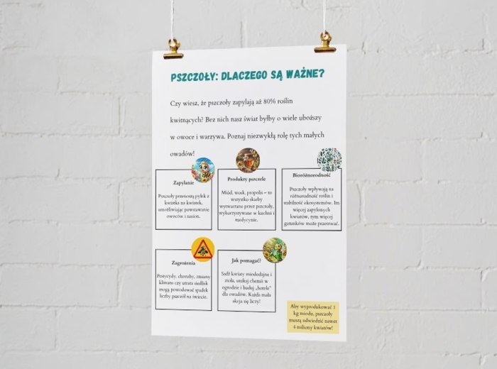 Infografiki edukacyjne. Zasady segregacji odpadów. Obieg wody w przyrodzie. Dlaczego pszczoły są ważne?