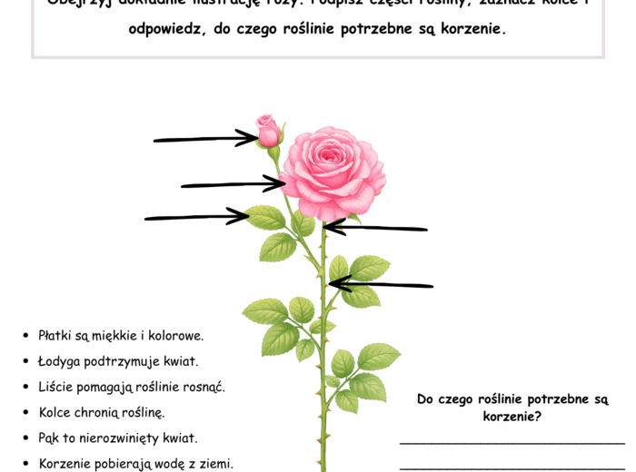Róża i Jagoda – karty pracy dla dzieci | Czytanie, pisanie i prace plastyczne