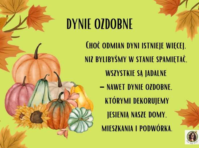 Gazetka "Dzień dyni".