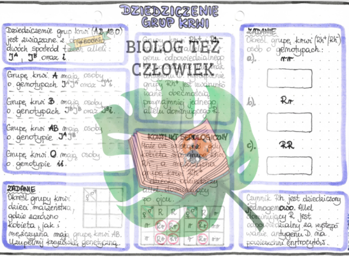Dziedziczenie grup krwi (GENETYKA) - kolor