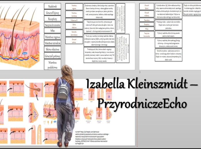 Materiał do zalaminowania/praca w grupach/stacje zadaniowe/układanka/puzzle/notatki okienkowe. Temat: „Budowa i funkcje skóry”, „Organizm człowieka jako funkcjonalna całość” w pdf. Biologia 7 dział „Organizm człowieka. Skóra - powłoka organizmu”. Materia
