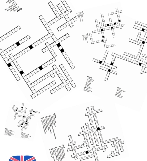 Flash 6 – Module 3 – krzyżówki