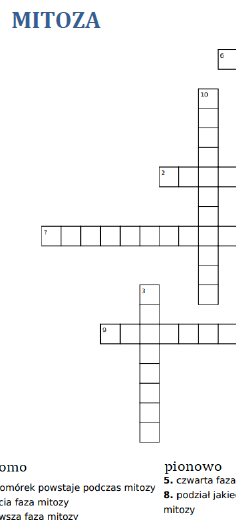 Mitoza