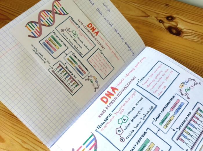 DNA – sketchnotka - wklejka | Biologia | klasa 8