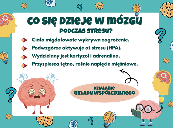 EUROPEJSKI DZIEŃ MÓZGU 18 MARCA - gazetka szkolna