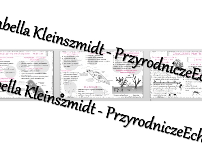 Sketchnotka - notatka „Różnorodność protistów” wykonana w power point do edycji. Biologia 5; „Wirusy, bakterie, protisty i grzyby”
