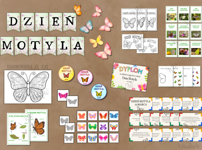 Dzień Motyla - zestaw