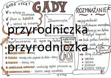 Klasa 6. Biologia. Gady