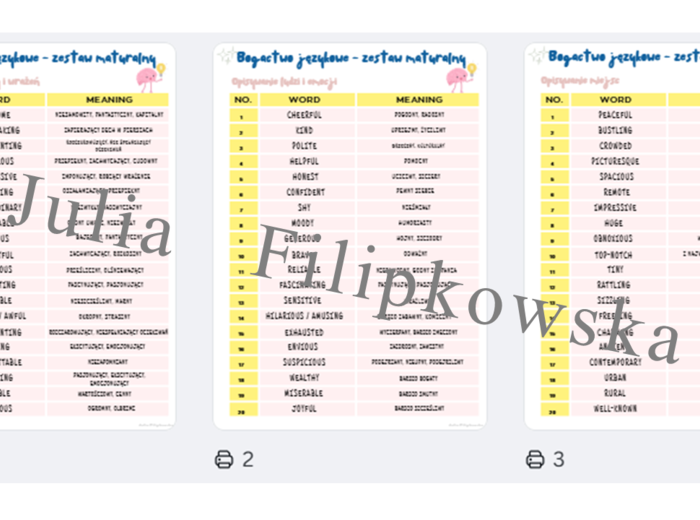 Bogactwo językowe / Matura / Must have matura / Matura exam / Notatka / Writing / Wypowiedź pisemna maturalna / E-mail / Mail / Email / Blog