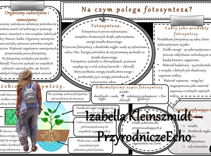 Sketchnotka/notatka/streszczenie/wklejka/ściąga dla ucznia i nauczyciela. Temat „Na czym polega fotosynteza?” w pdf. Biologia 5 dział „Organizacja i chemizacja życia”. Wykonana na podstawie podręcznika z wydawnictwa WSiP.