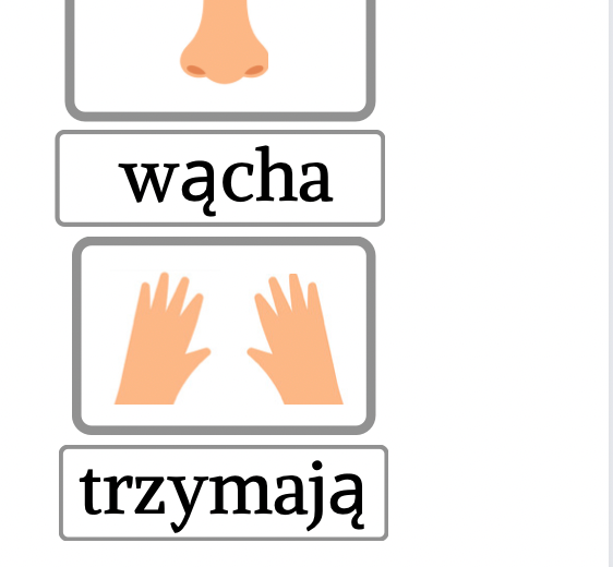 Tożsamość - Poznaję siebie - Zmysły