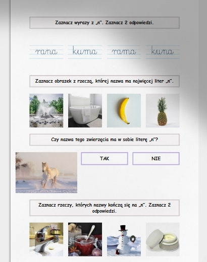 N i n. Karta pracy. Sprawdzian