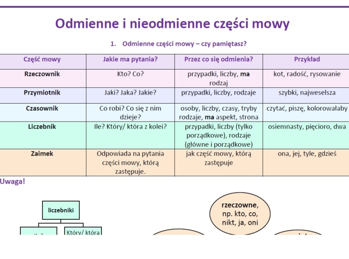 Części mowy w pigułce przed ezgaminem