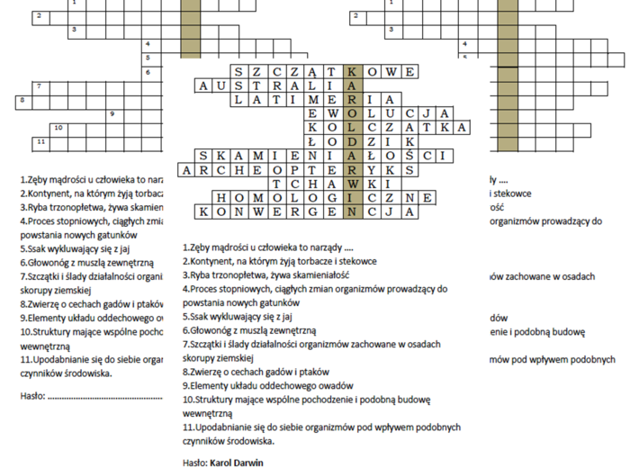 Logogryf dla kl. 8 na podsumowanie lekcji o dowodach ewolucji