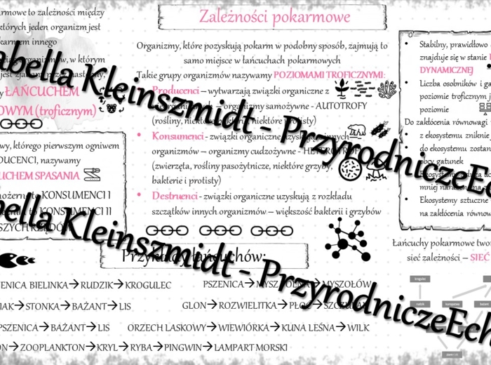 Sketchnotka - notatka „Zależności pokarmowe” wykonana w power point do edycji. Biologia 8; „EKOLOGIA”