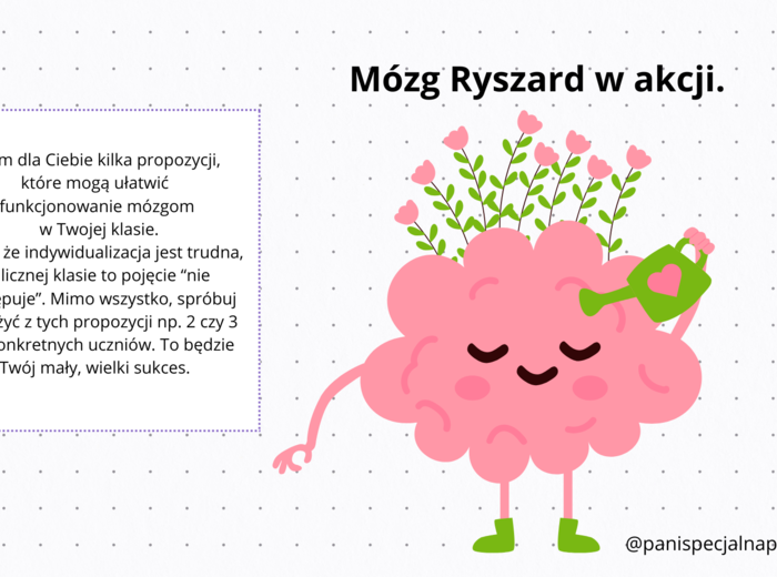 Dostosowania dla ucznia w trakcie bieżącej pracy na lekcji. Rada szkoleniowa WDN. Gazetka dla nauczycieli.