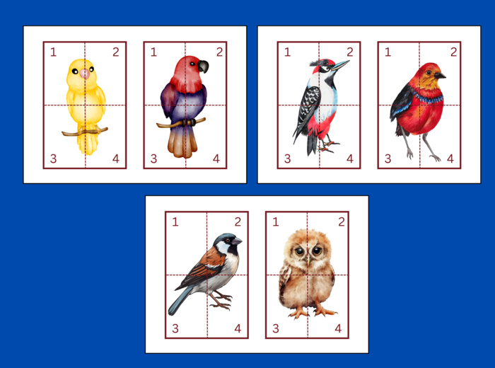 DZIEŃ PTAKÓW – puzzle – układanka- układanki – WIOSNA – biblioteka – świetlica – przedszkole – 12 wersji