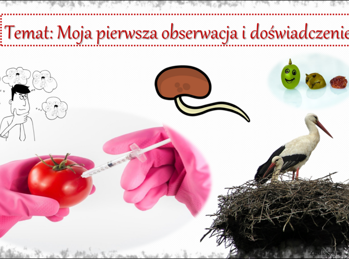 Moja pierwsza obserwacja i doświadczenie