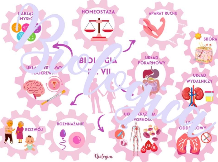 O CZYM BĘDĘ SIĘ UCZYŁ W TYM ROKU NA BIOLOGII? Obrazkowe karty na pierwszą lekcję dla klas 5-8.