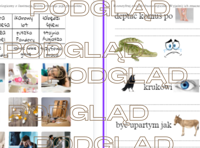 Związki frazeologiczne - zadania cz.5