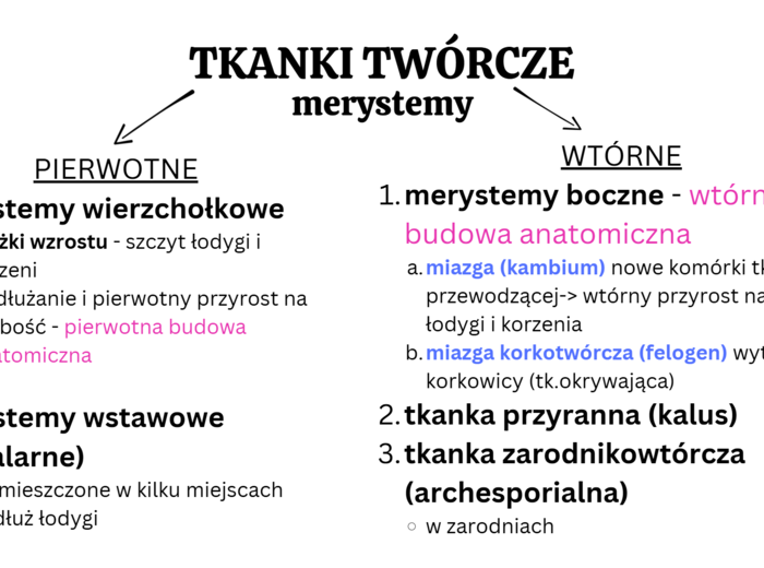 Tkanki roślinne KLASA 2 ROZSZERZENIE