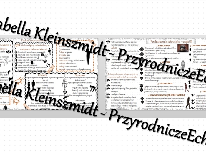 Sketchnotka - notatka „Pochodzenie człowieka” wykonana w power point do edycji. Biologia 8; „Ewolucja życia”