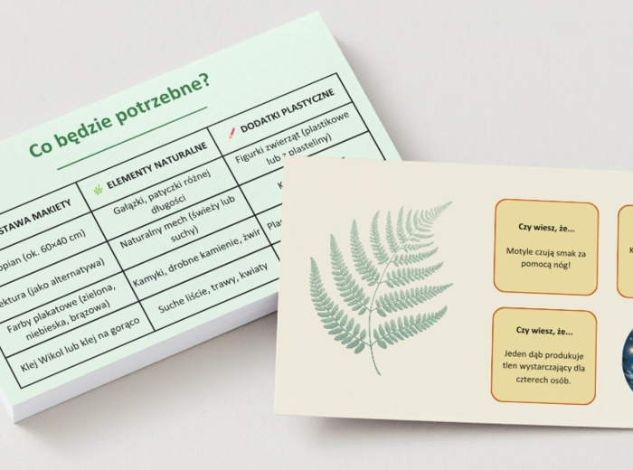 Makieta ekosystemu - lasu, łąki, jeziora