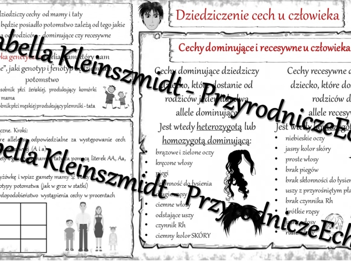 Sketchnotka - notatka „Dziedziczenie cech u człowieka” wykonana w power point do edycji. Biologia 8; „GENETYKA”