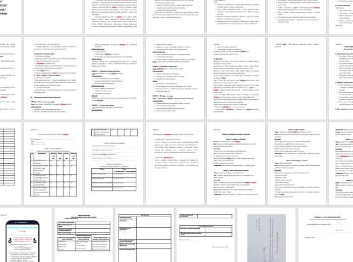 Innowacja/projekt z języka polskiego „Polski na TikToku – nowe media w służbie języka i literatury” (wersja do edycji) 34 strony