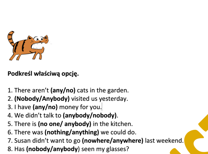 NO.../ ANY....- ćwiczenie utrwalające z kluczem- 20 zdań