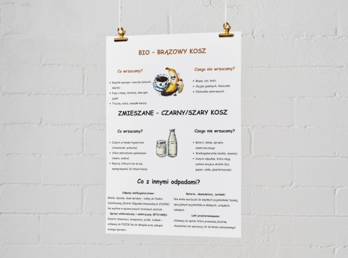 Zasady segregacji odpadów. Recykling. Kolorowe kosze