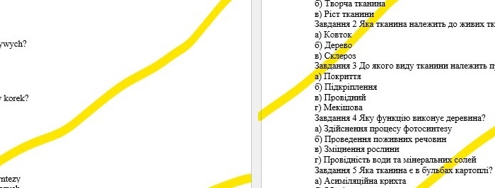 Kartkówka tkanki roślinne