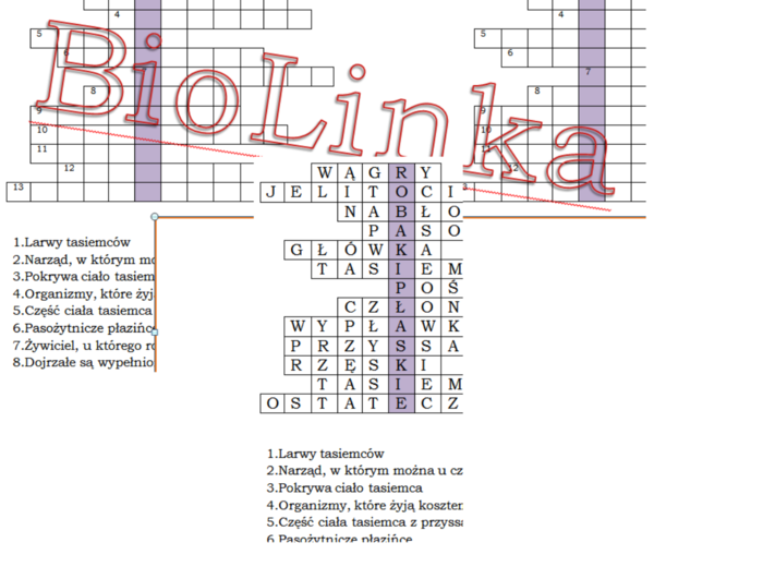 Logogryf dla klasy 6 na podsumowanie lekcji o płazińcach