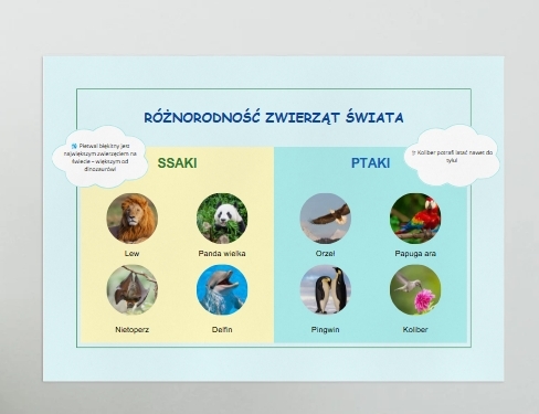 Plakaty. Różnorodność gatunkowa zwierząt, roślin i grzybów.