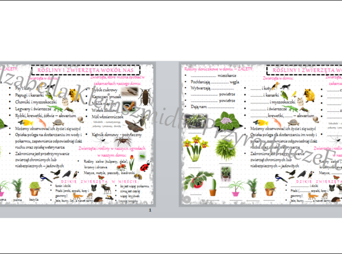 Sketchnotka i karta pracy „Rośliny i zwierzęta wokół nas” - w pdf. Przyroda klasa 4, dział III „Poznajemy świat organizmów”