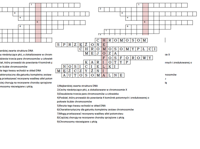 Logogryf na podsumowanie lekcji biologii w klasie 8 o dziedziczeniu płci u człowieka