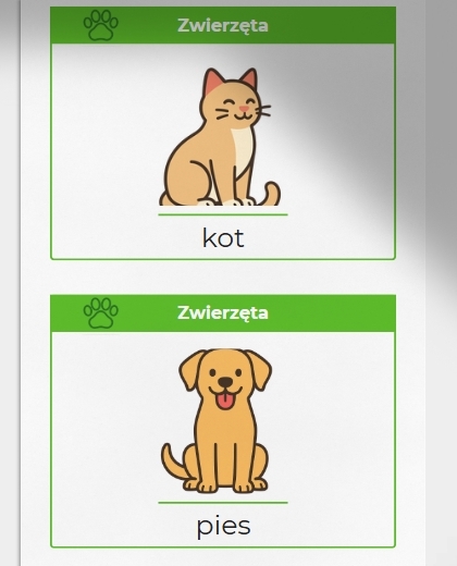 Karty obrazkowe: "Moje pierwsze słowa"