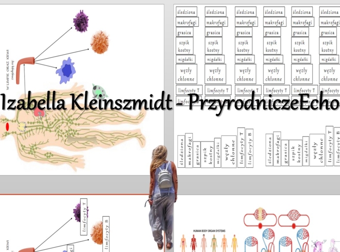 Materiał do zalaminowania/praca w grupach/puzzle/układanka. „Budowa i funkcjonowanie układu odpornościowego” w pdf. Biologia 7, dział „Układ krążenia”.