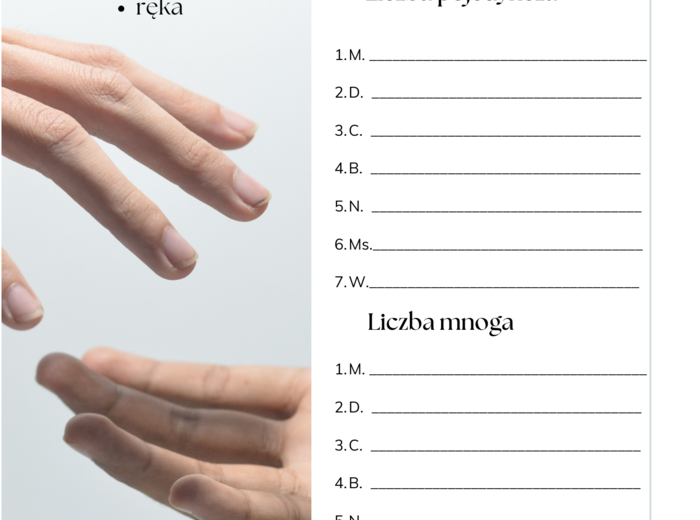 Części ciała workbook + kurs fiszkowy