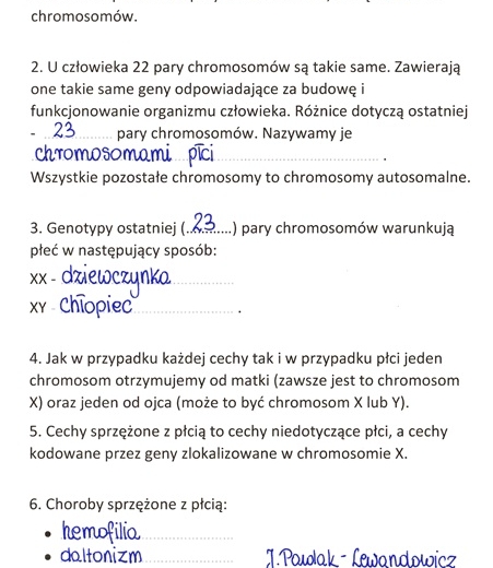 Dziedziczenie płci u człowieka - sketchnotka