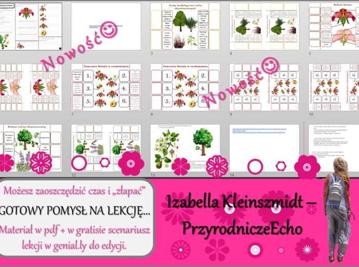 Pomysł na lekcję/karta pracy/stacje zadaniowe/materiał do lekcji do tematu „Okrytonasienne” w pdf. W gratisie niekomercyjny scenariusz lekcji/pomysł na lekcję w programie genial.ly do edycji. Biologia 5. Dział „Różnorodność roślin”.