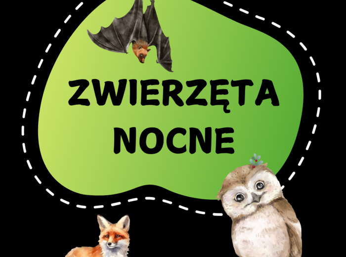 ZWIERZĘTA NOCNE