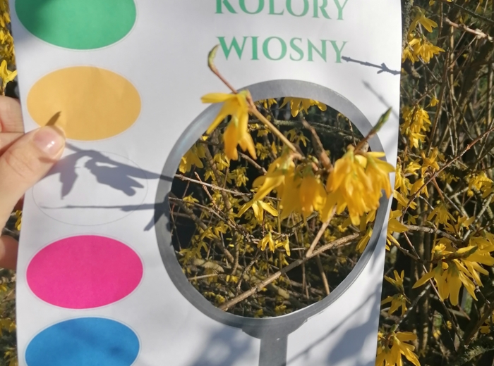 Wiosenne lupy i karty spaceru