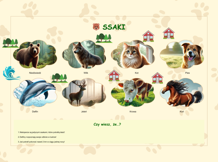 Plansze z gatunkami zwierząt (ssaki, ryby, ptaki, owady)
