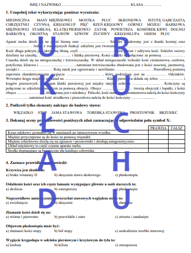 UKŁAD RUCHU - SPRAWDZIAN