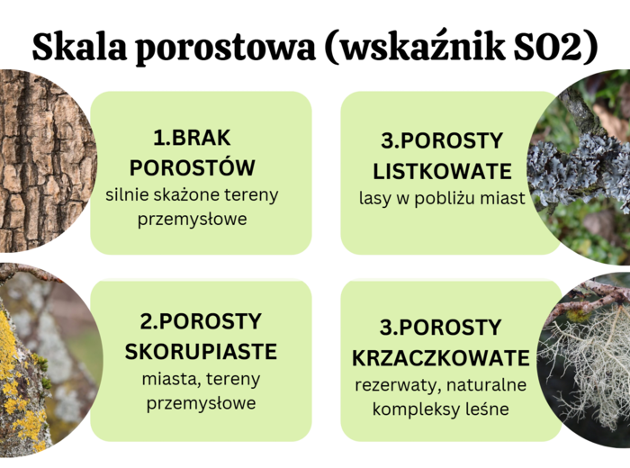 ekologia i różnorodność biologiczna KLASA 4 RZOSZERZENIE BIOLOGIA